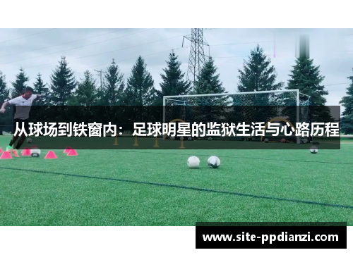 从球场到铁窗内：足球明星的监狱生活与心路历程